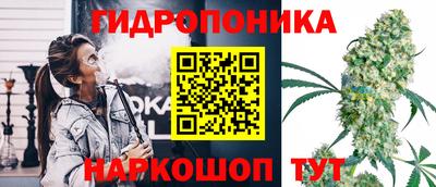 прущая мука Будённовск