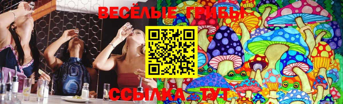 Галлюциногенные грибы Psilocybe Истра