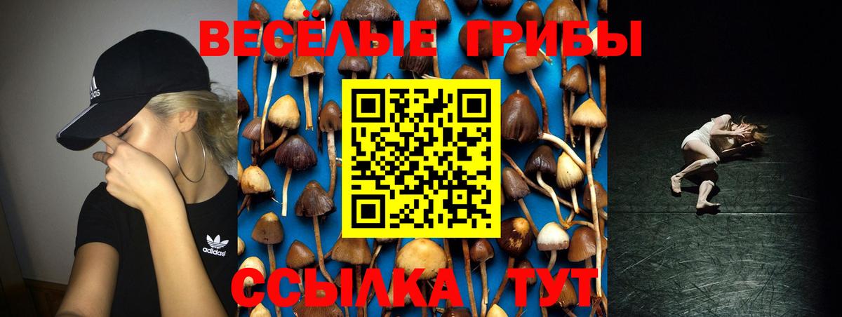 Псилоцибиновые грибы GOLDEN TEACHER  Вход с VPN  хочу   Истра 