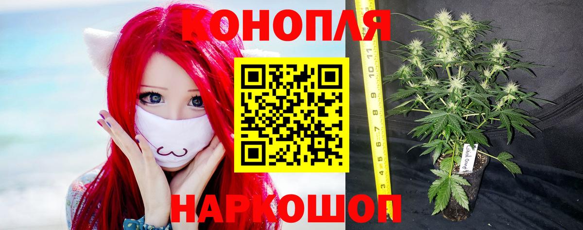 Конопля сатива  МАРИХУАНА VHQ  Вход с VPN  Бошки Шишки план  Истра 