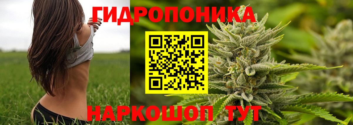 Шишки марихуана индика Истра